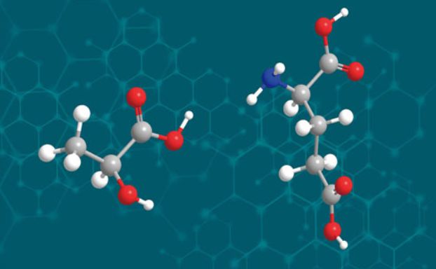 PA610,PA1010--商品化的生物基聚酰胺產(chǎn)品